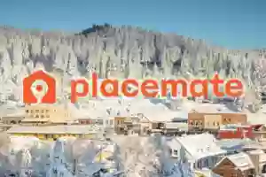 Placemate Placemate