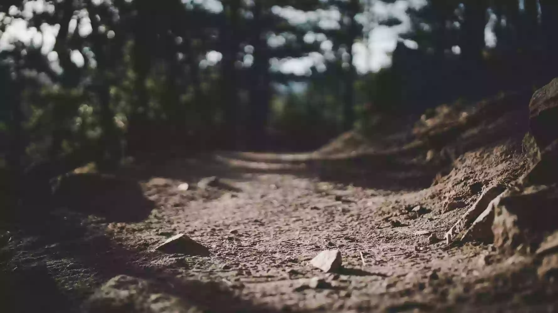 Rockytrax Rockytrax