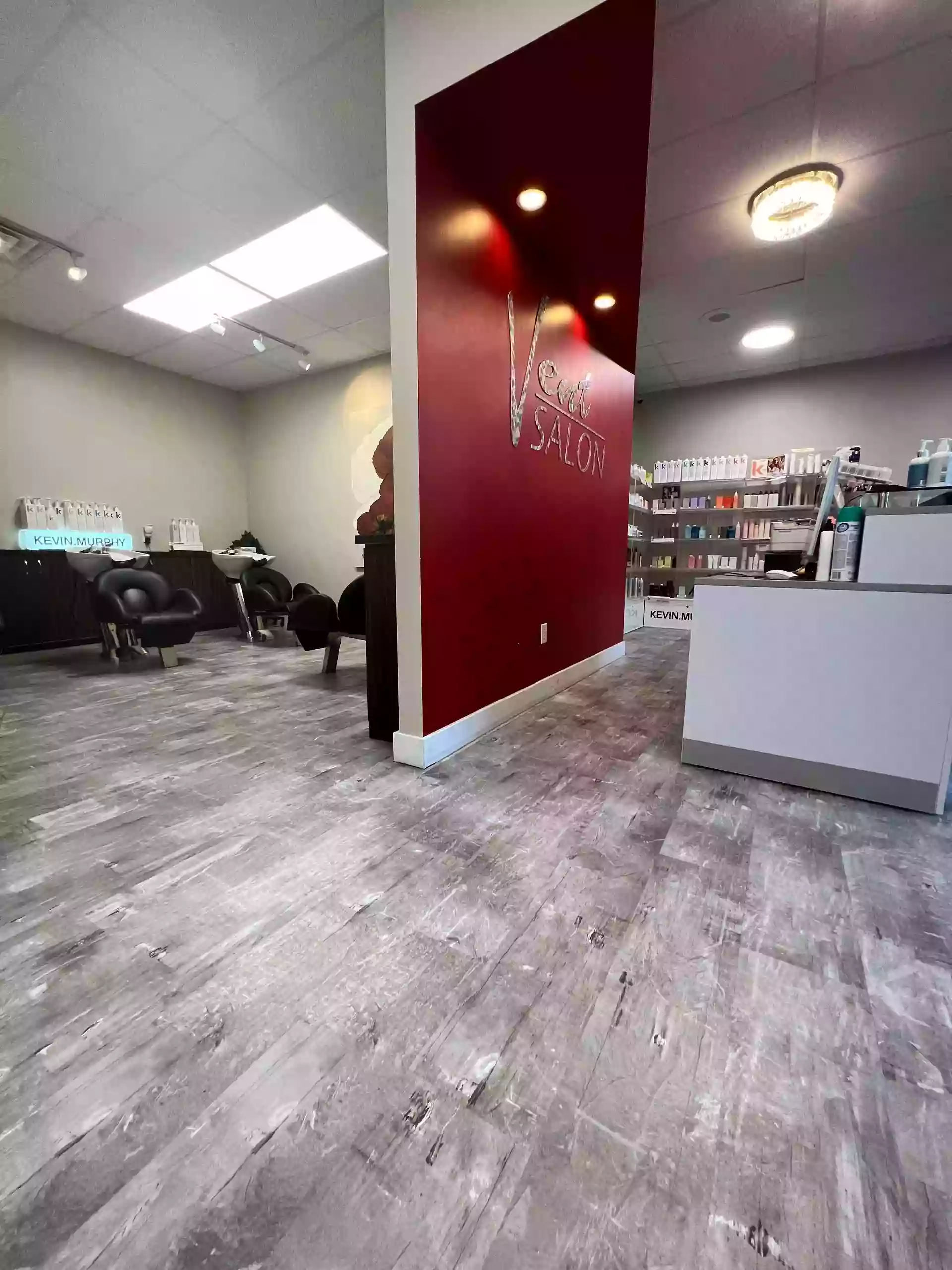 Vent Salon Vent Salon