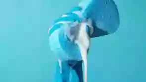 BraziClean BraziClean