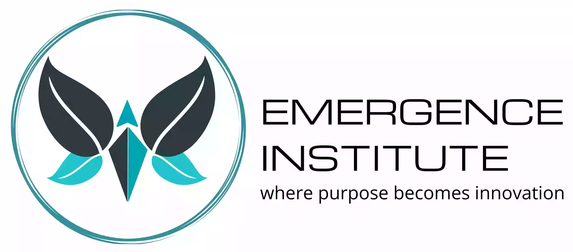 Emergence Institute Emergence Institute