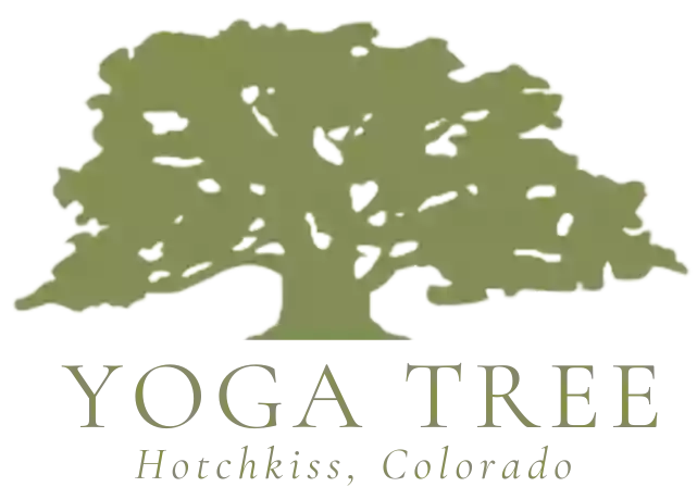 Yoga Tree Yoga Tree