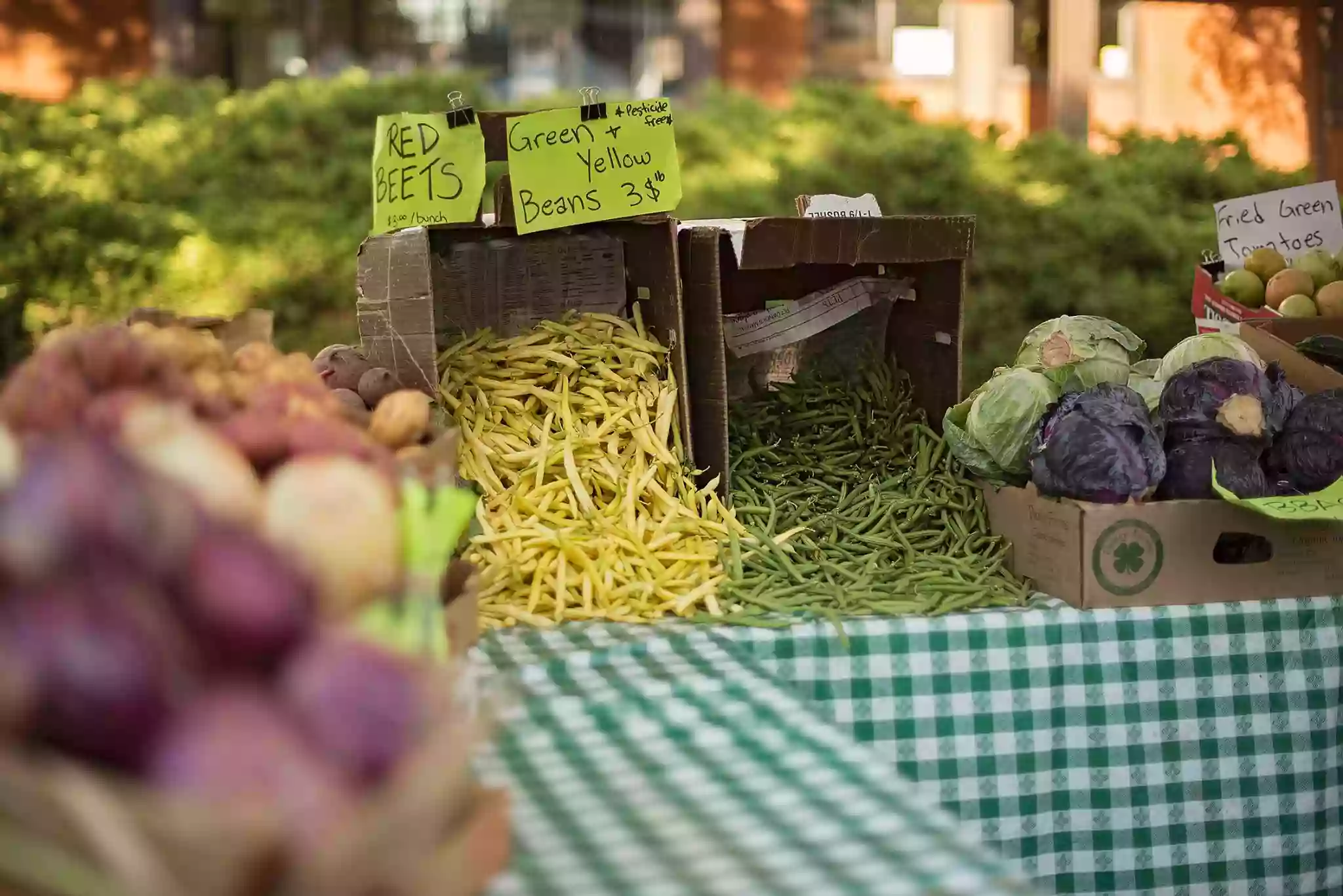 Erie Farmers Market