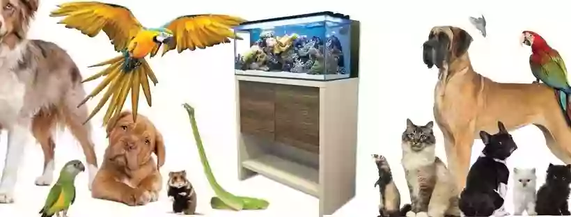 Amazing Animalz Amazing Animalz