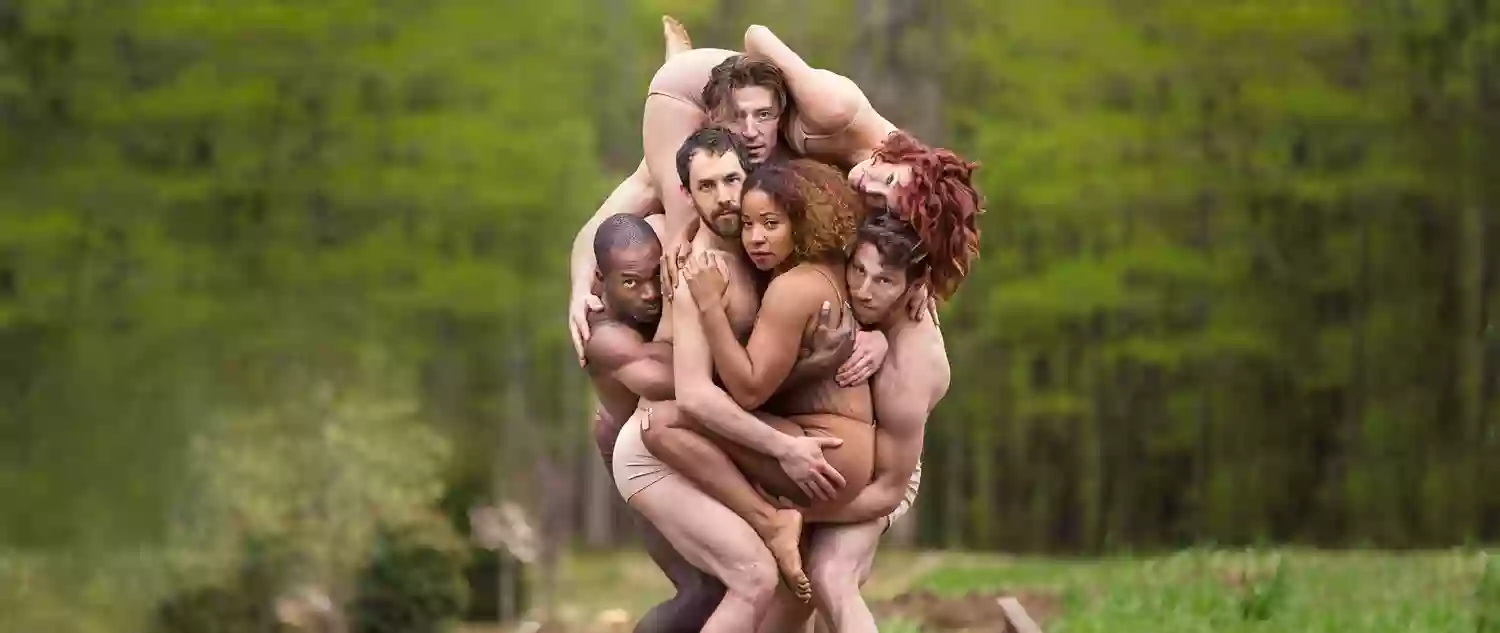 Pilobolus Pilobolus