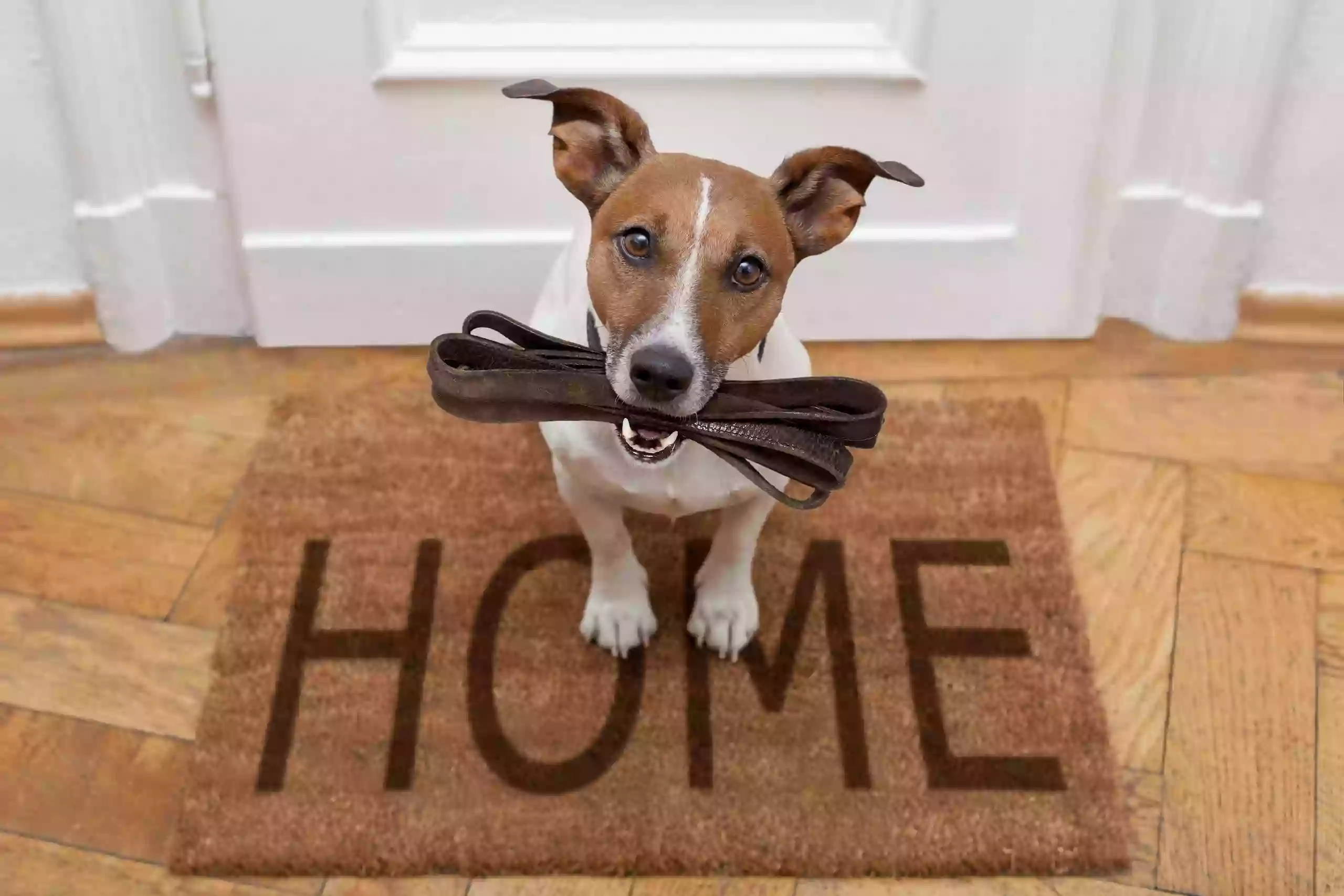 Always Safe At Home