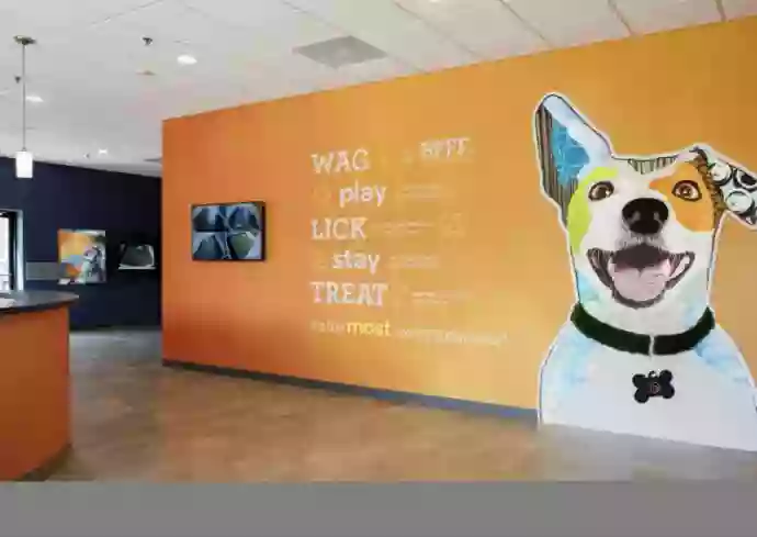 Dogtopia of Milford Dogtopia of Milford