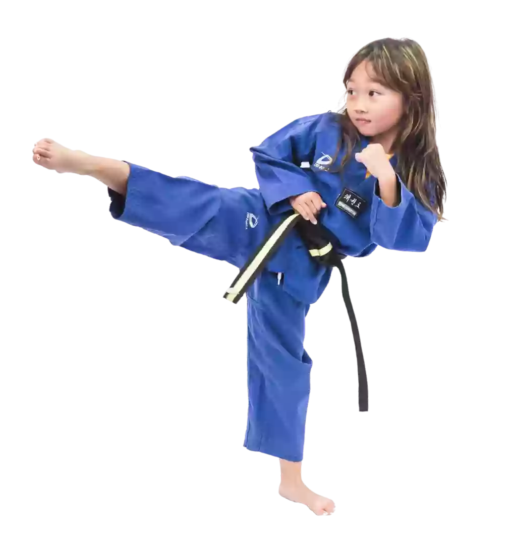 World Champion Taekwondo Brookfield World Champion Taekwondo Brookfield