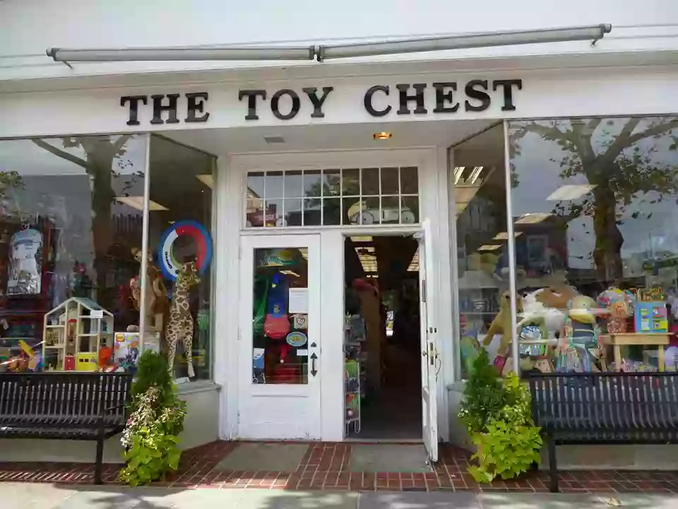 Toy Chest Toy Chest