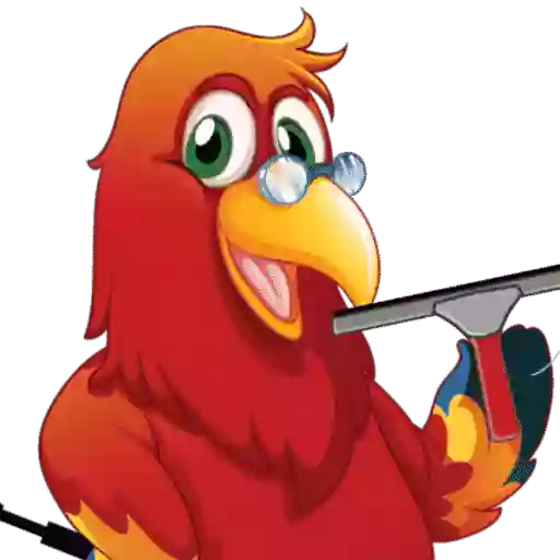 Expert Cleaning Expert Cleaning
