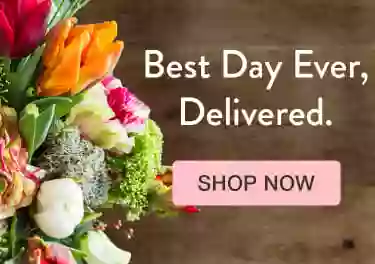 Dillon's Florist Dillon's Florist