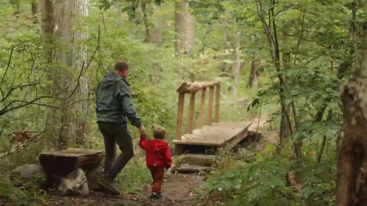 Paffard Woods