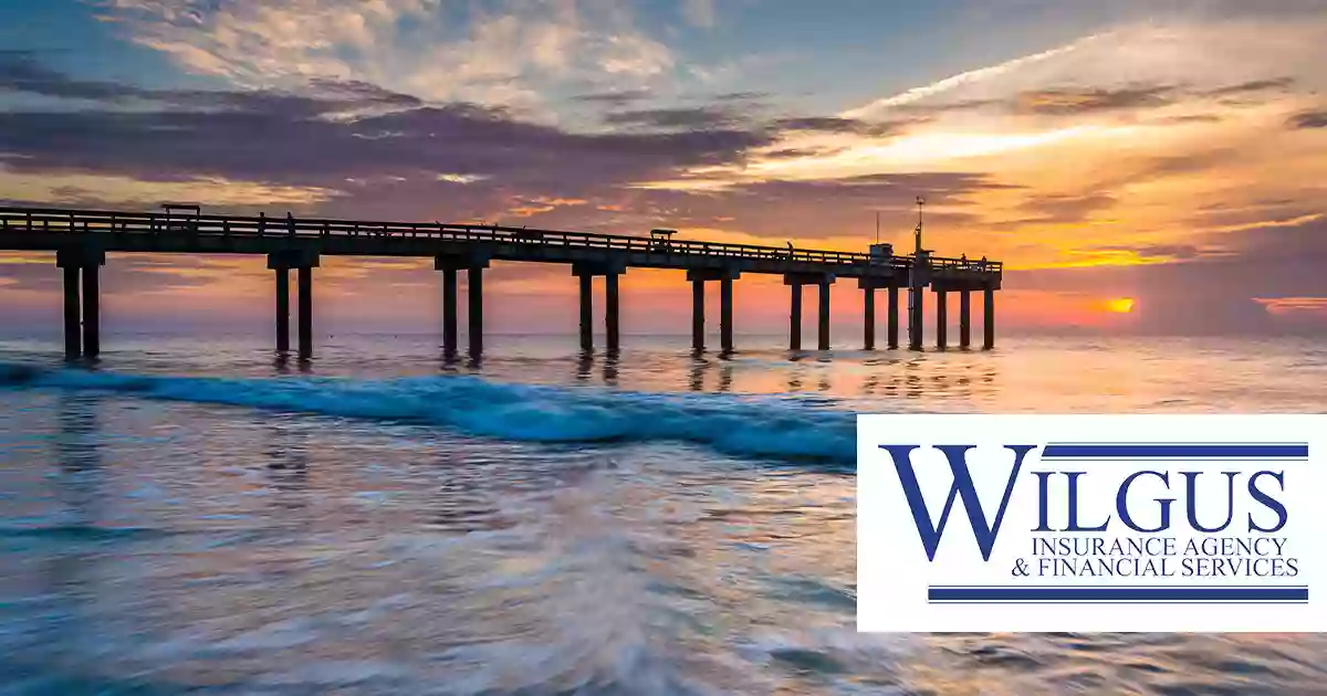 Wilgus Insurance Agency Inc, - Delmar Wilgus Insurance Agency Inc, - Delmar