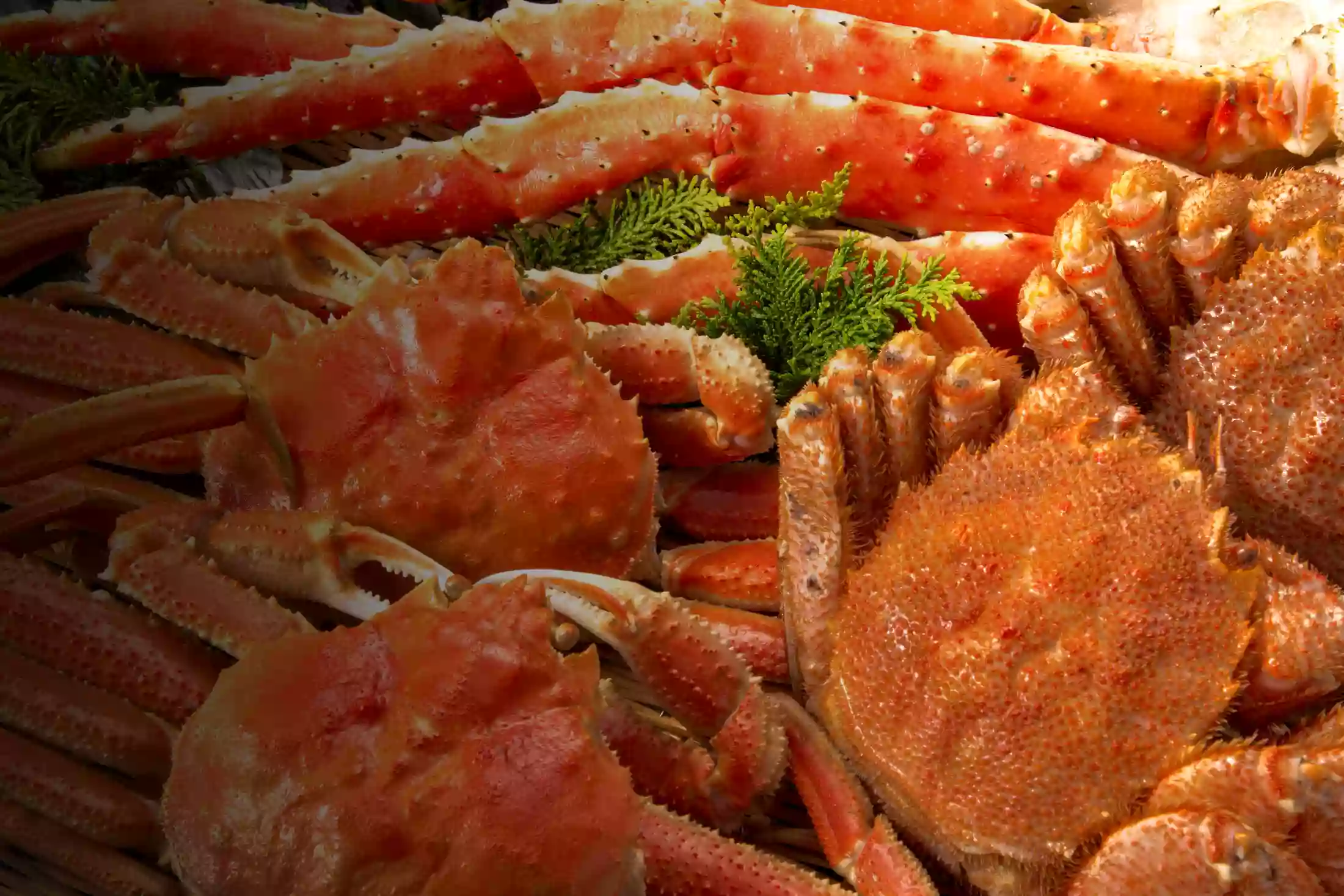 Rocking Crab Rocking Crab