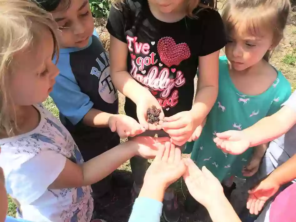 Freedom Montessori Academy Freedom Montessori Academy