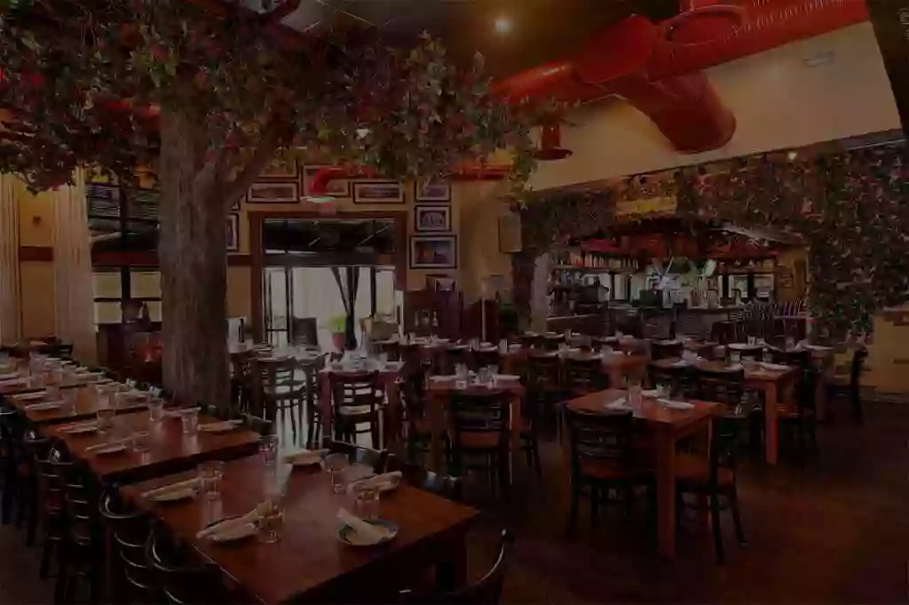 Taverna Opa Orlando Taverna Opa Orlando