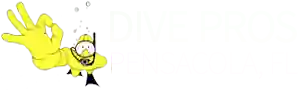 Dive Pros Dive Pros
