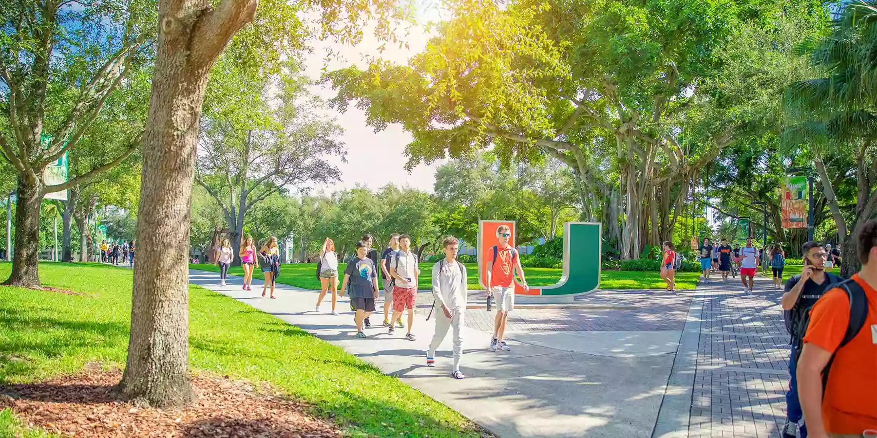 UMiami UMiami