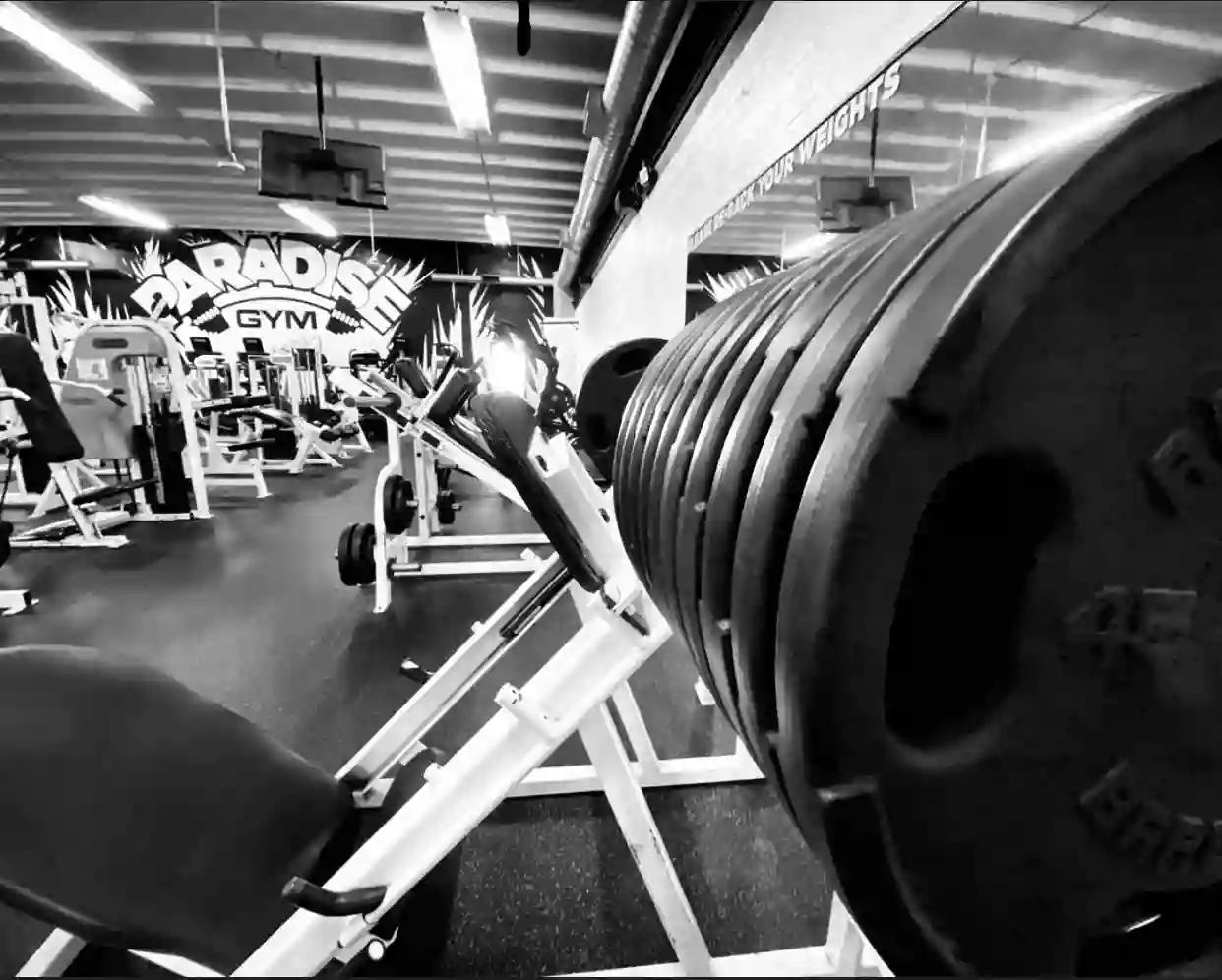 Paradise Gym Paradise Gym