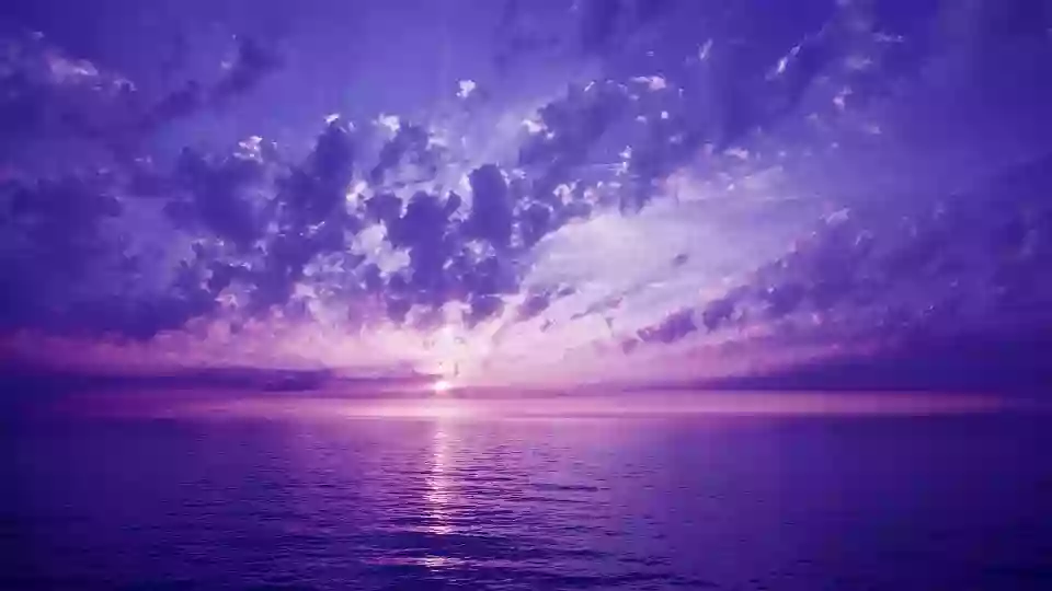 Indigo Possibilities Therapy Practice / Ericka Foster, MS, LMHC