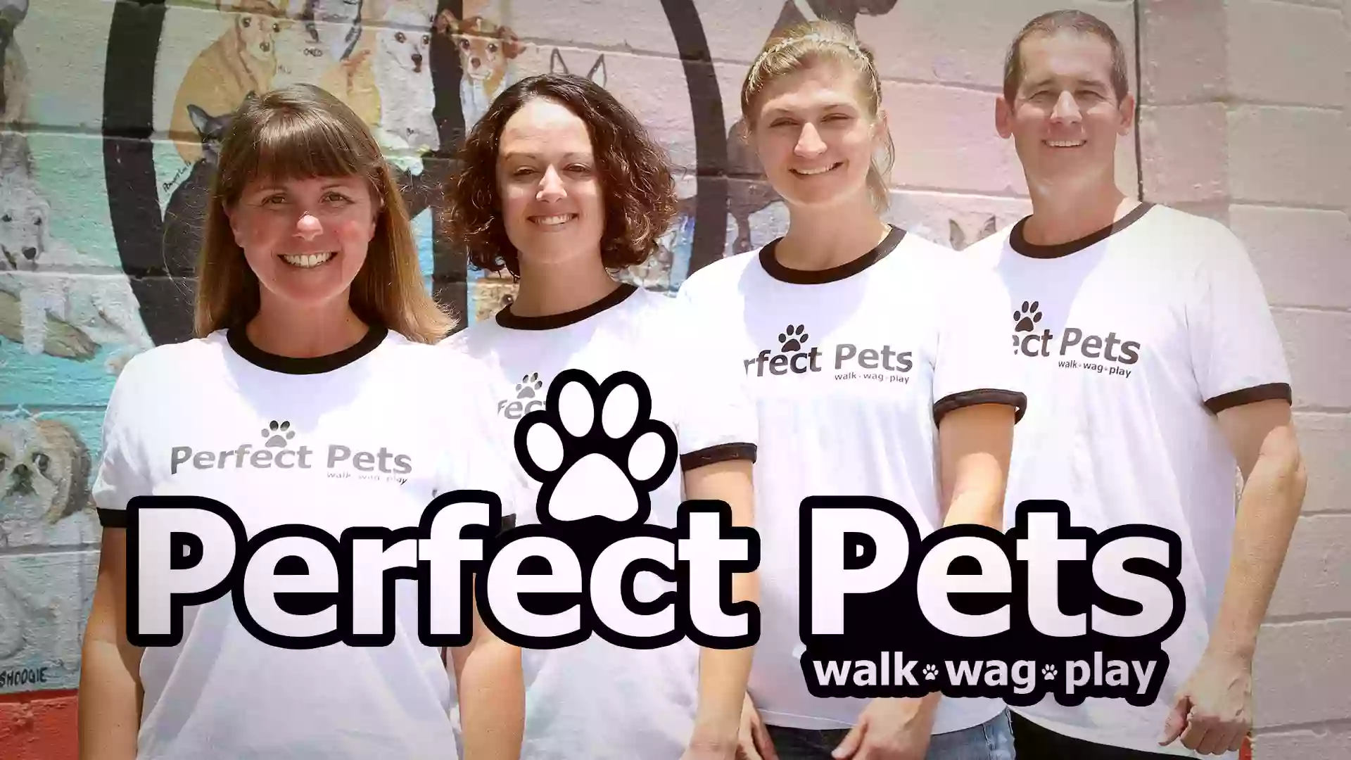 Perfect Pets Doggy Daycare, Grooming, Enrichment & Nutrition Perfect Pets Doggy Daycare, Grooming, Enrichment & Nutrition