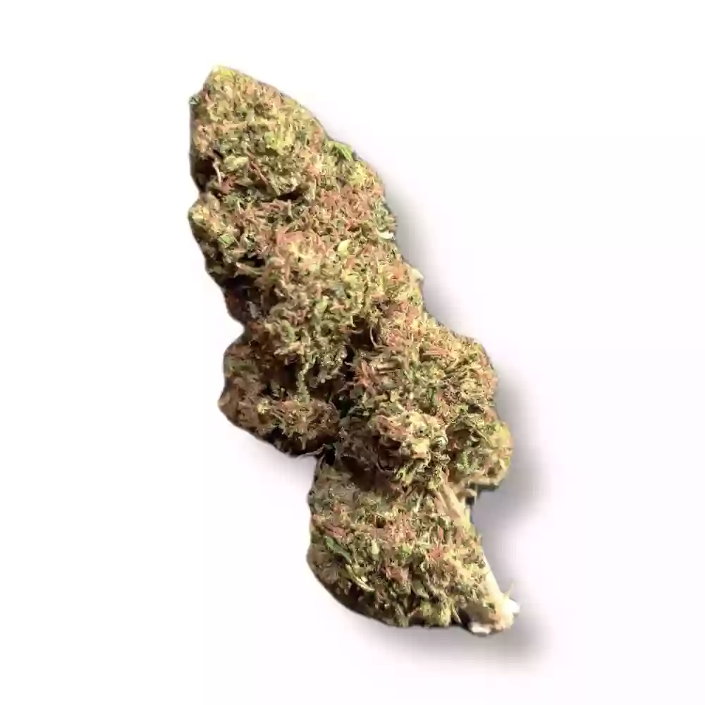 The Hemp Spot The Hemp Spot