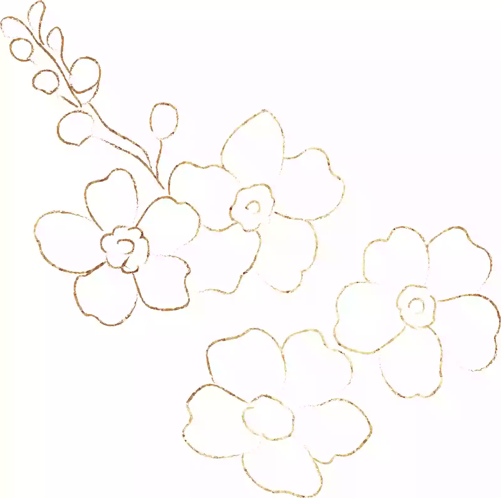 Wildflower Wildflower