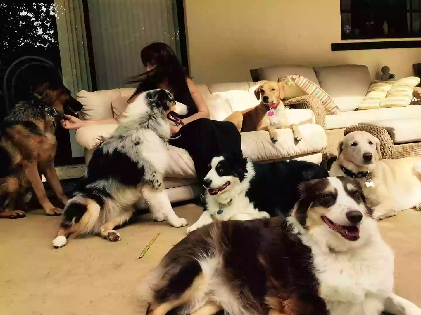 OUR DOG INN OUR DOG INN