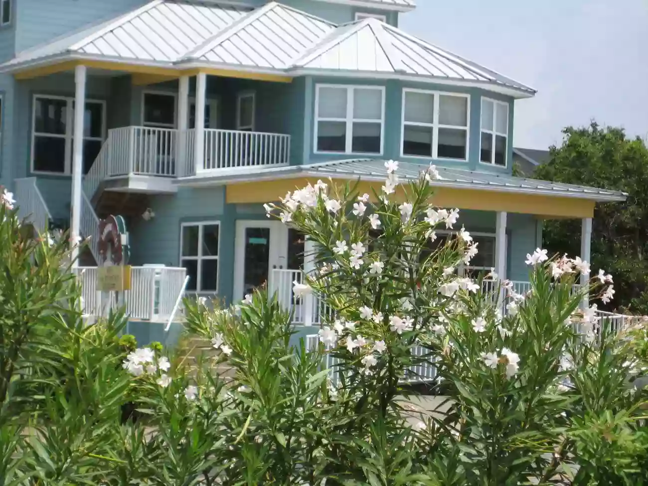 Laughing Lizard Bed and Breakfast Laughing Lizard Bed and Breakfast