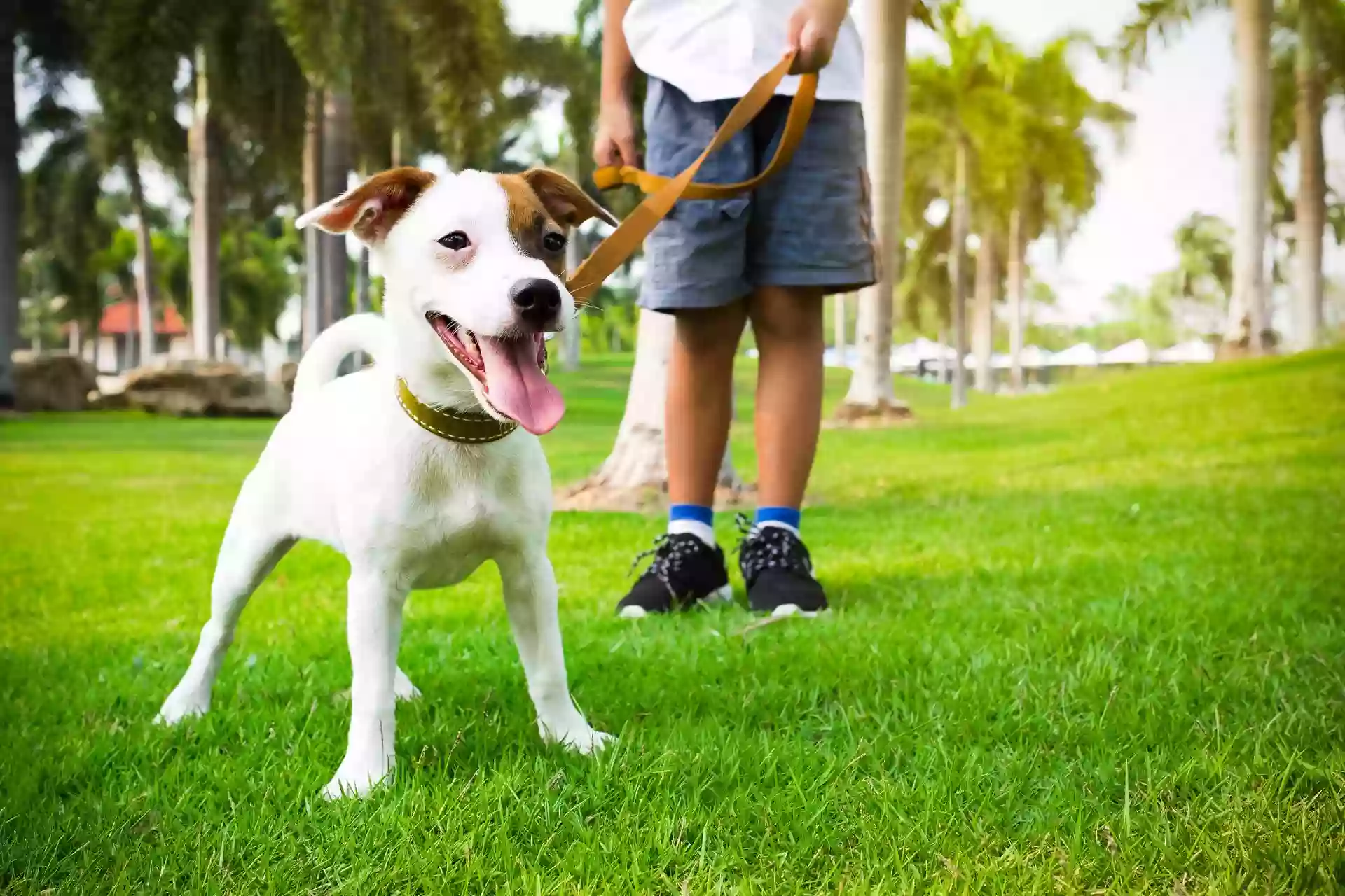 Walkies Walkies