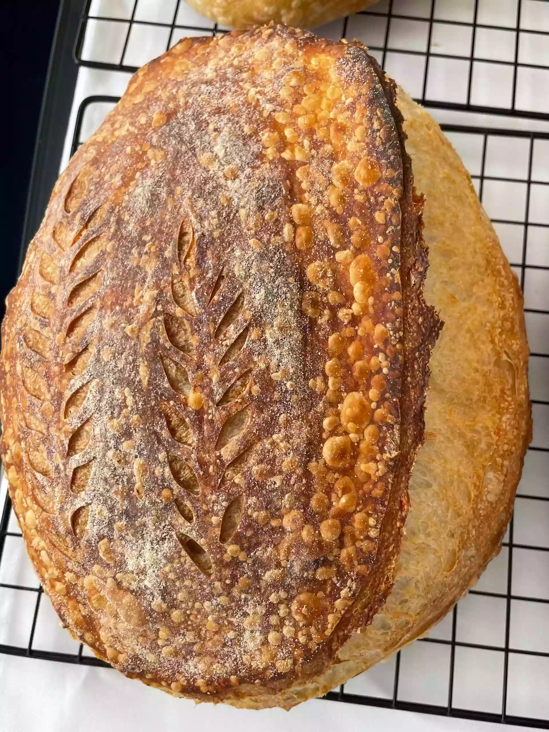 Surf Bread Co Surf Bread Co