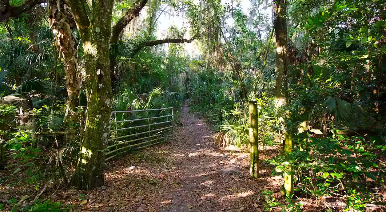 Alafia River Reserve Alafia River Reserve