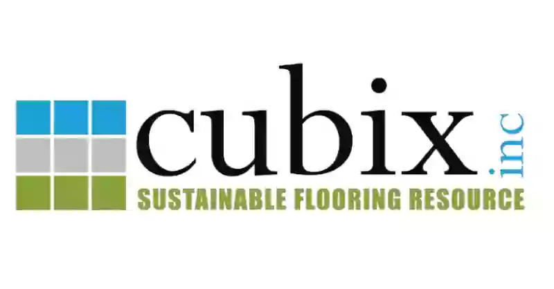 Cubix Inc Cubix Inc