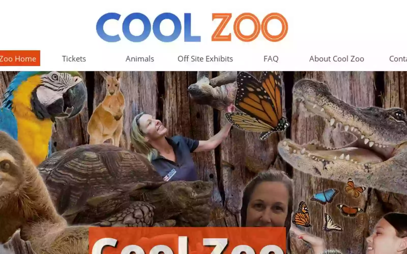 Cool Zoo Cool Zoo