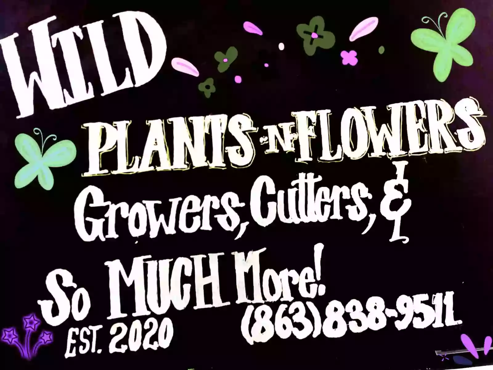 Wild Plants N Flowers Wild Plants N Flowers