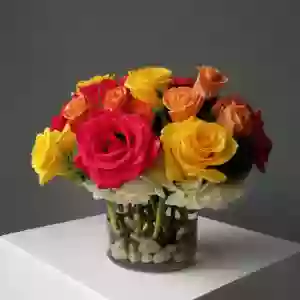 Loula Blooms