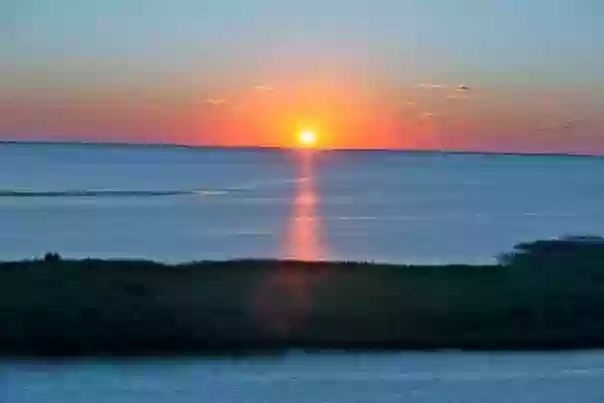 Enjoy Apalachicola Enjoy Apalachicola
