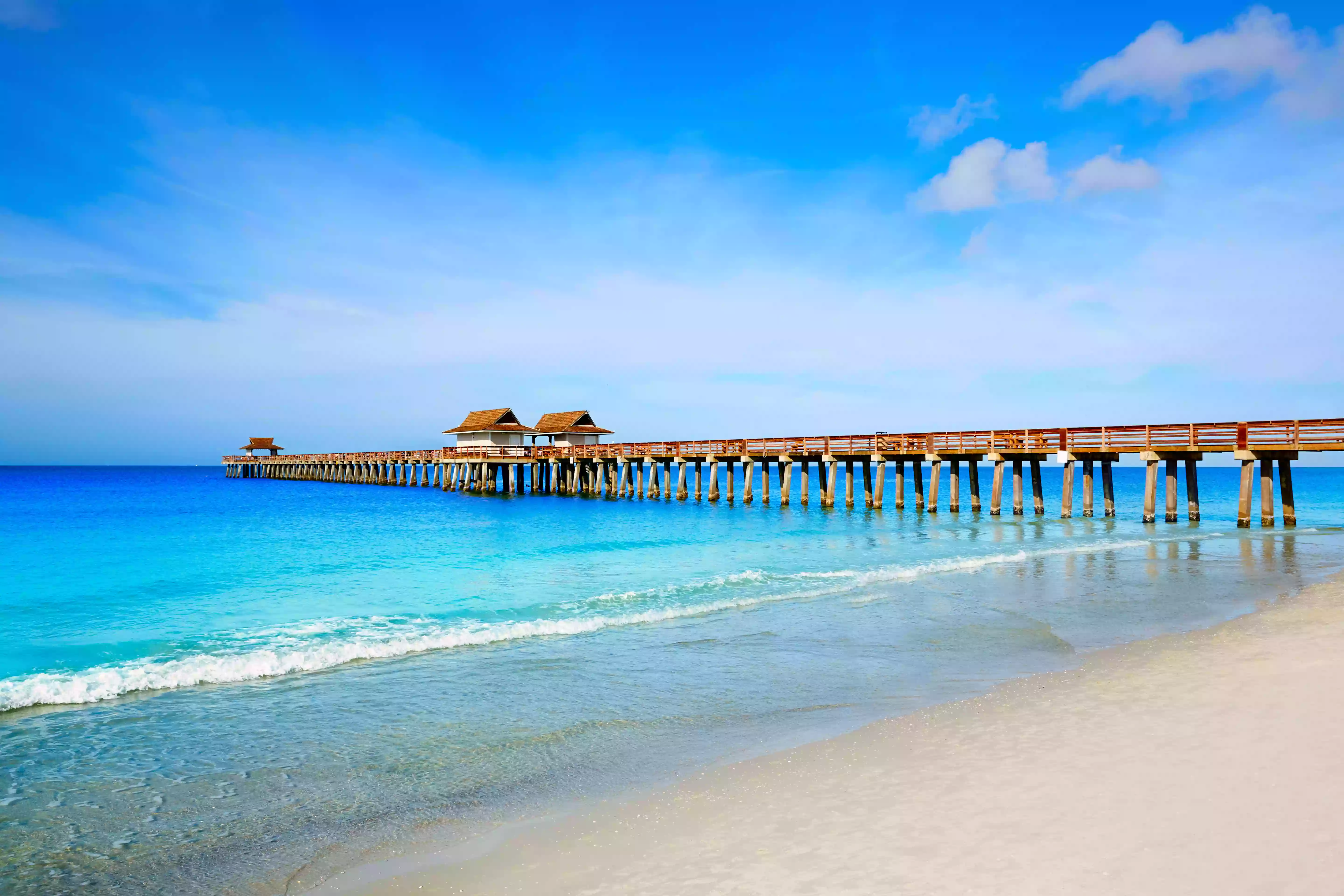 Ingrid Horn, Licensed Broker Florida Domicile Realty LLC Ingrid Horn, Licensed Broker Florida Domicile Realty LLC