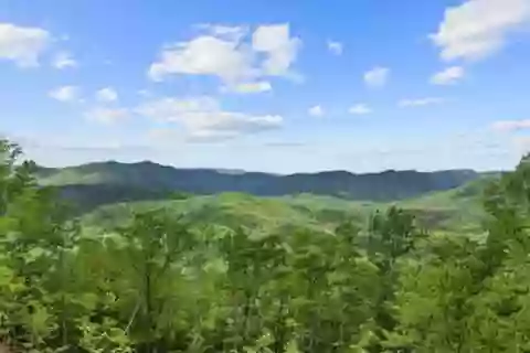 Blue Ridge Beauty Blue Ridge Beauty