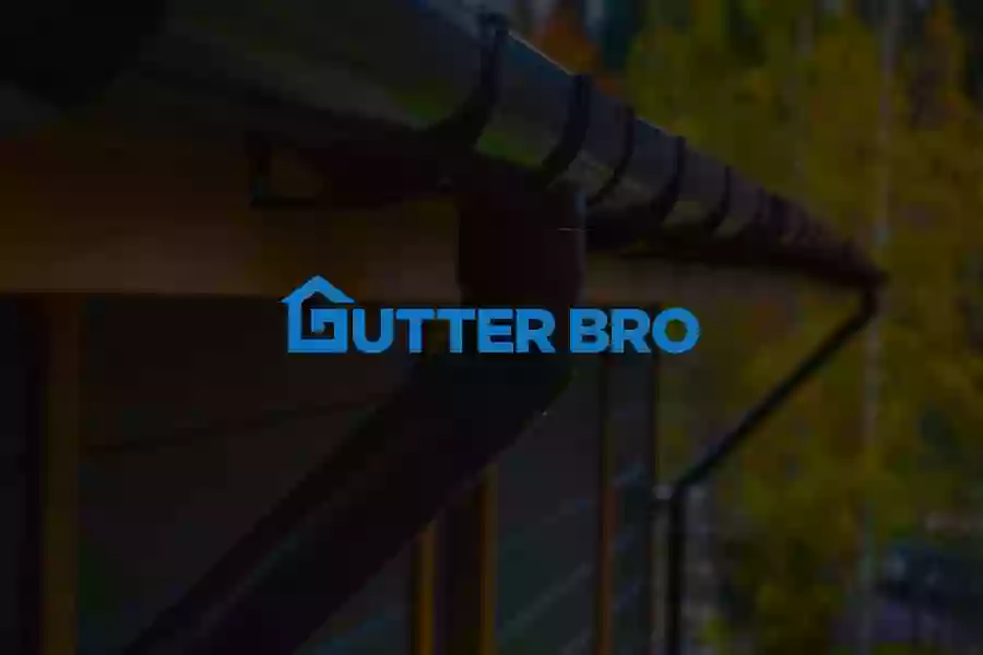 Gutter Bro Gutter Bro