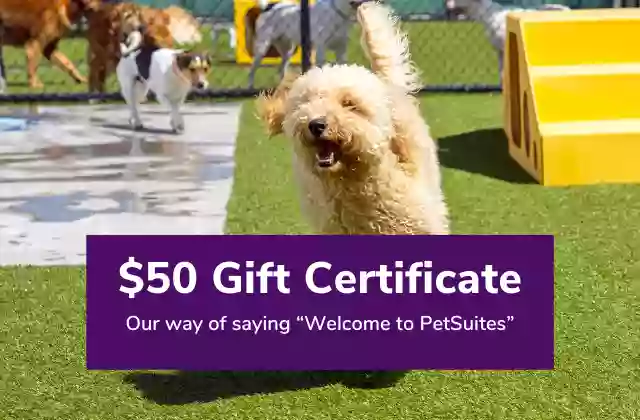 PetSuites Woodstock PetSuites Woodstock
