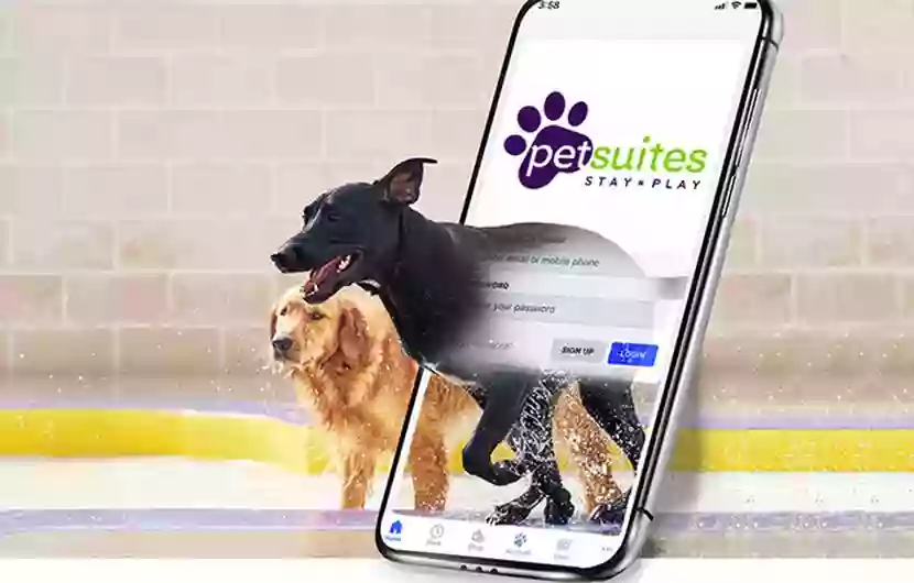 PetSuites Norcross PetSuites Norcross