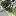 Albany Pediatrics Albany Pediatrics