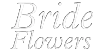 Bride Flowers Bride Flowers