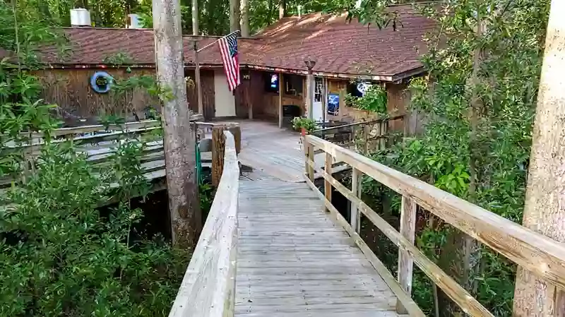 Tree House Tree House