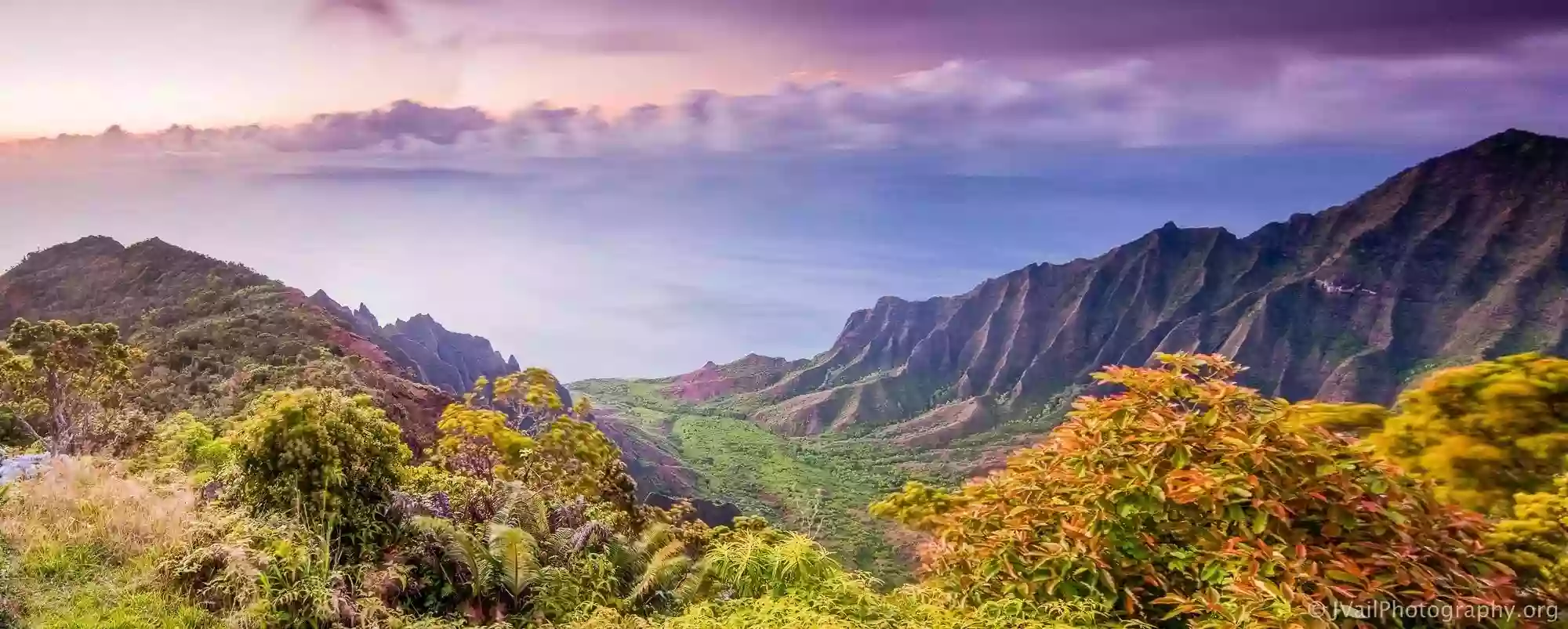 Kauai Ferments