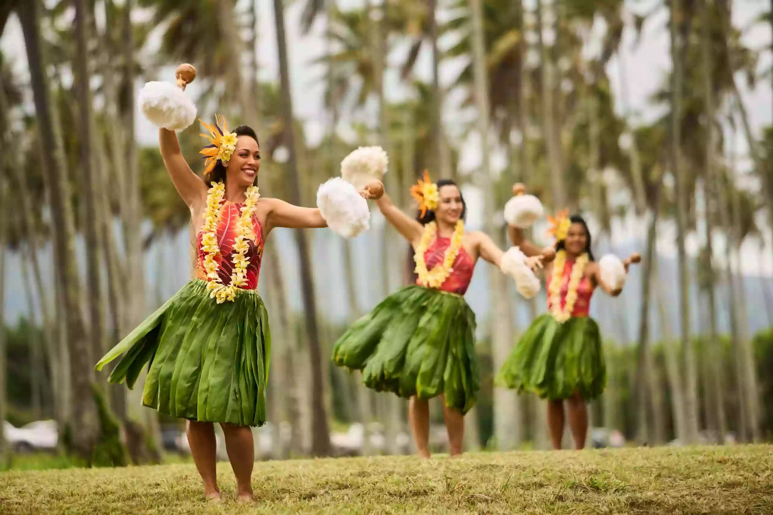 Luau Ka Hikina Luau Ka Hikina