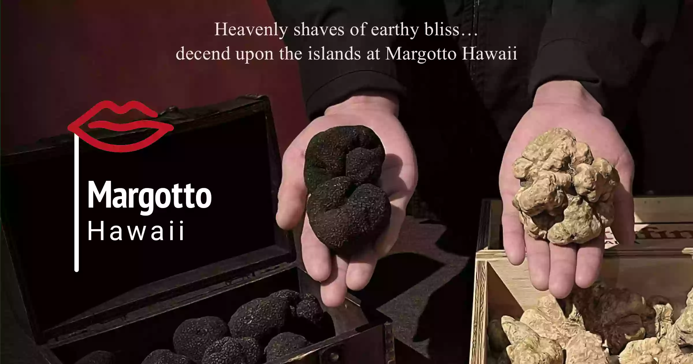 Margotto Hawaii Margotto Hawaii