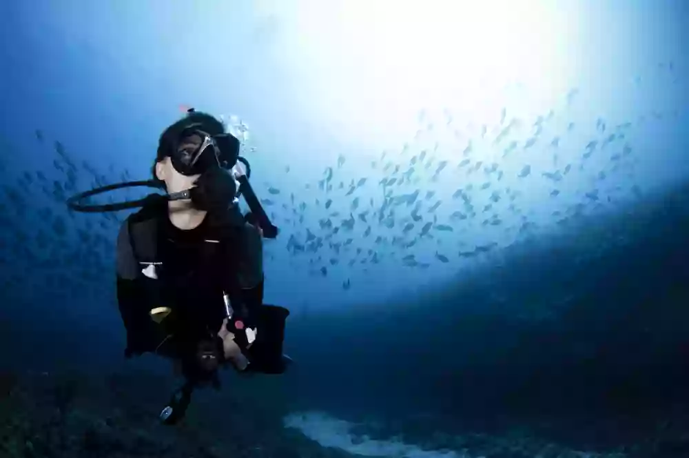 Sammy Scuba Diving Sammy Scuba Diving