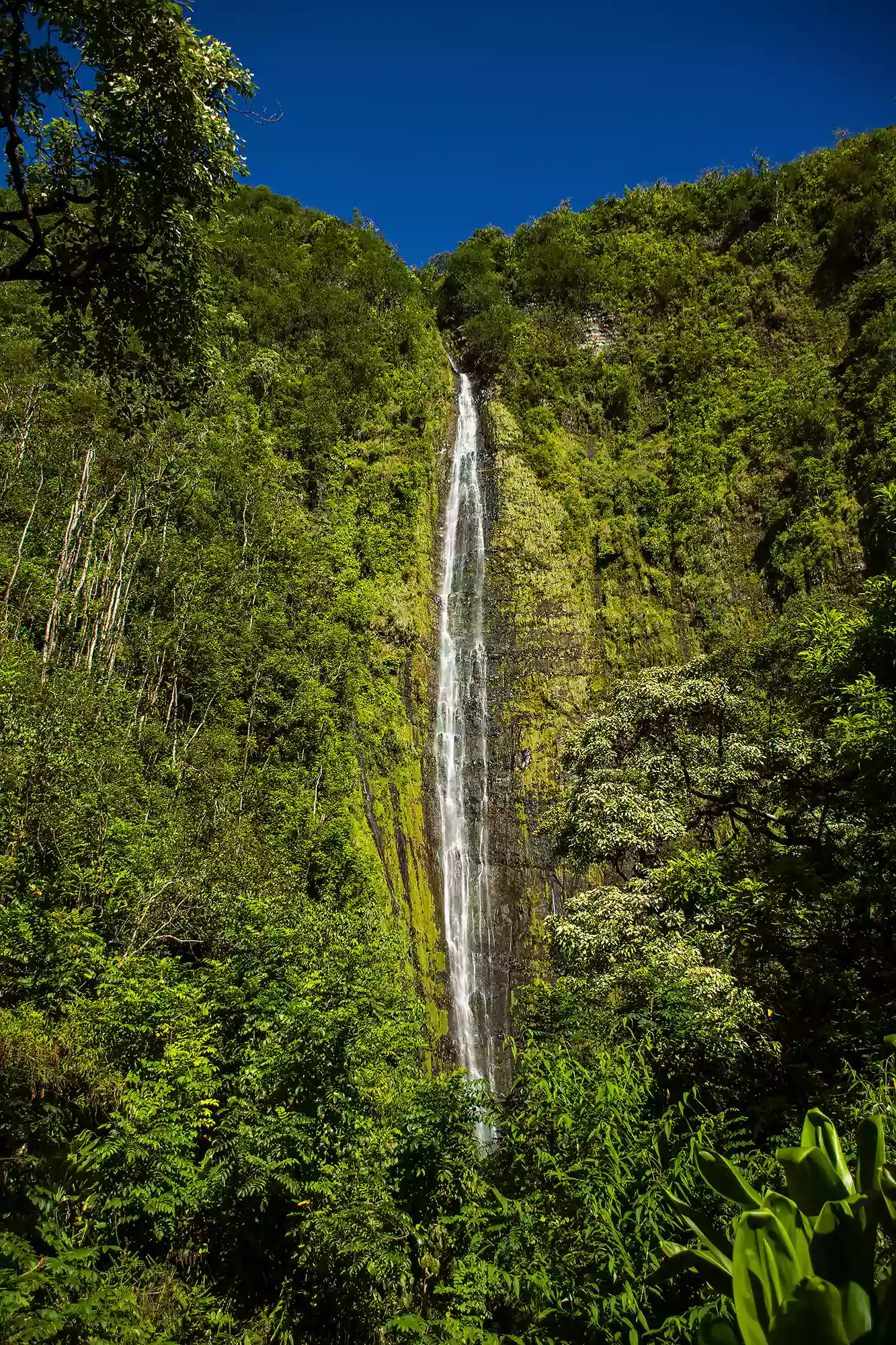 ʻOheʻo Gulch ʻOheʻo Gulch